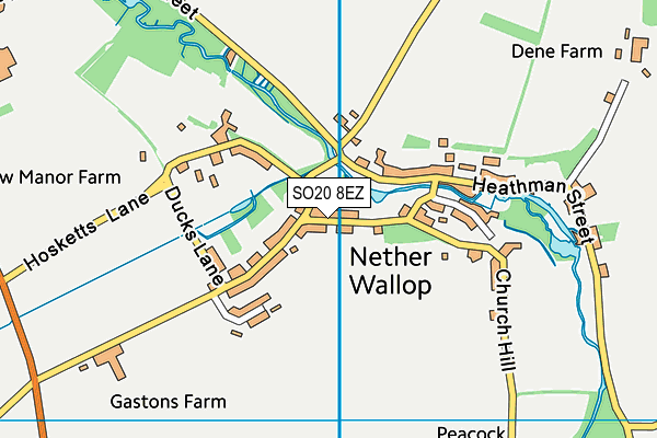 SO20 8EZ map - OS VectorMap District (Ordnance Survey)