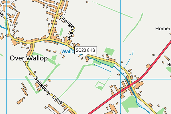 SO20 8HS map - OS VectorMap District (Ordnance Survey)