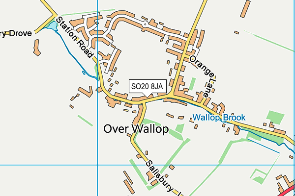 SO20 8JA map - OS VectorMap District (Ordnance Survey)