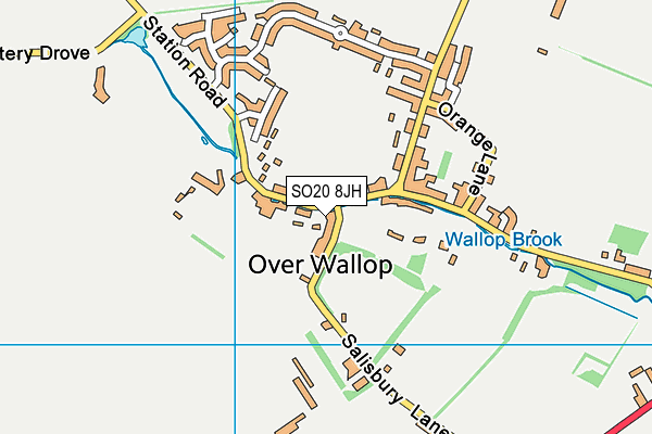 SO20 8JH map - OS VectorMap District (Ordnance Survey)