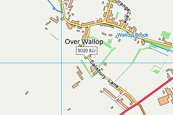 SO20 8JJ map - OS VectorMap District (Ordnance Survey)