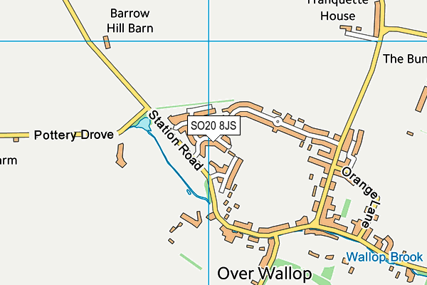 SO20 8JS map - OS VectorMap District (Ordnance Survey)