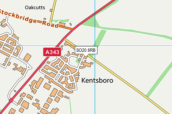 SO20 8RB map - OS VectorMap District (Ordnance Survey)