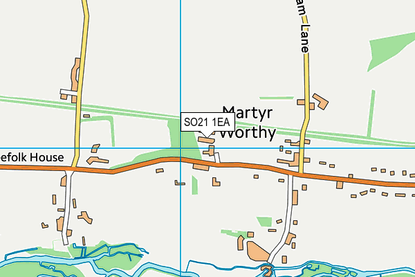 King George V Recreation Ground (Martyr Worthy) map (SO21 1EA) - OS VectorMap District (Ordnance Survey)
