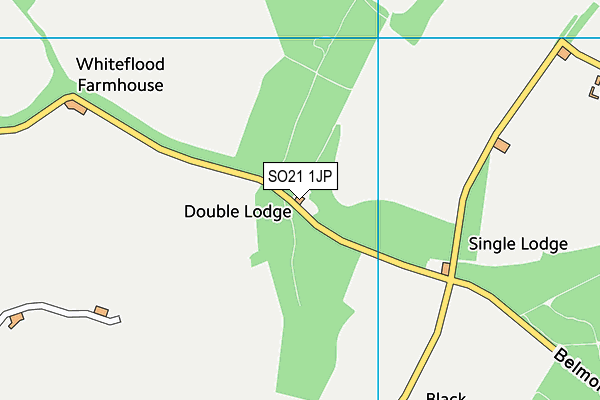 SO21 1JP map - OS VectorMap District (Ordnance Survey)