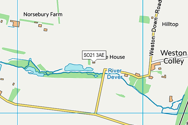 SO21 3AE map - OS VectorMap District (Ordnance Survey)