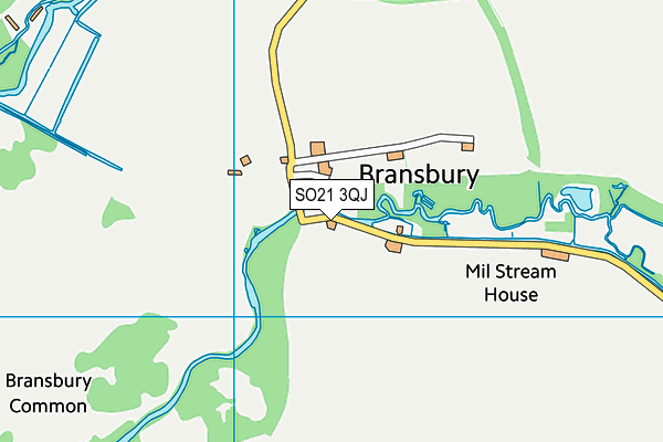 SO21 3QJ map - OS VectorMap District (Ordnance Survey)