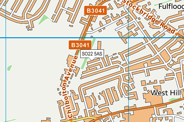 SO22 5AS map - OS VectorMap District (Ordnance Survey)