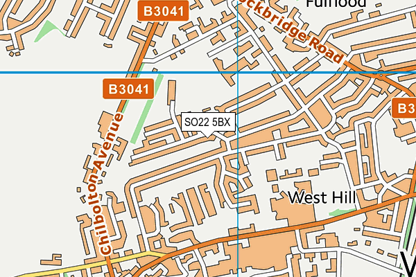 SO22 5BX map - OS VectorMap District (Ordnance Survey)