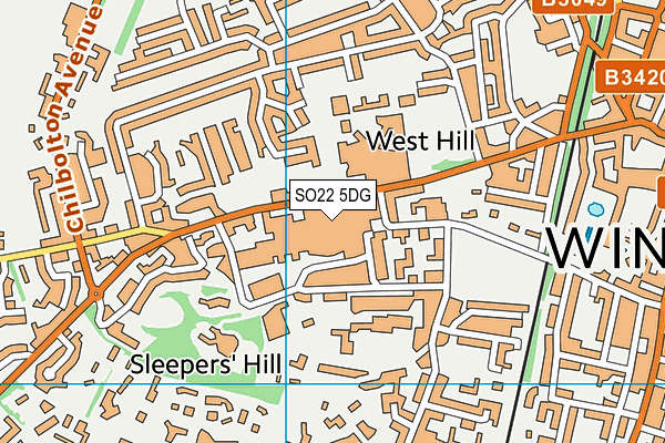 SO22 5DG map - OS VectorMap District (Ordnance Survey)