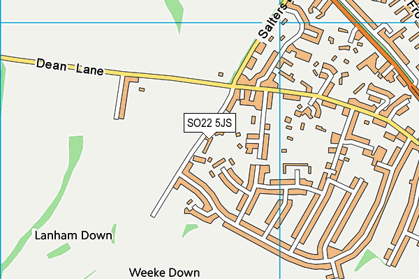 SO22 5JS map - OS VectorMap District (Ordnance Survey)