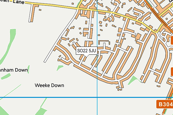 SO22 5JU map - OS VectorMap District (Ordnance Survey)