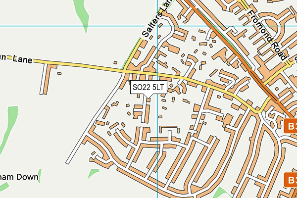 SO22 5LT map - OS VectorMap District (Ordnance Survey)