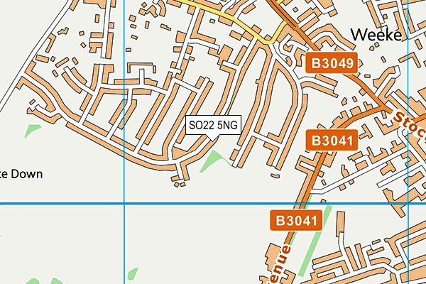 SO22 5NG map - OS VectorMap District (Ordnance Survey)