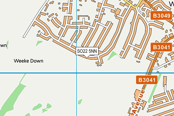 SO22 5NN map - OS VectorMap District (Ordnance Survey)