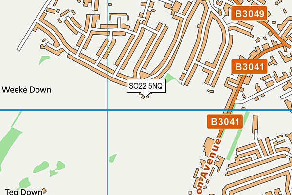 SO22 5NQ map - OS VectorMap District (Ordnance Survey)