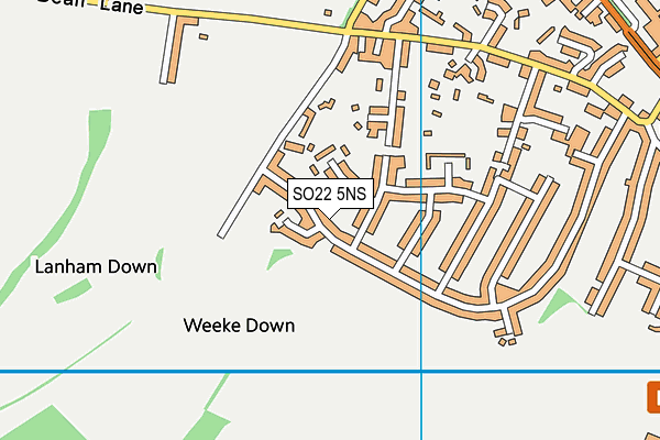 SO22 5NS map - OS VectorMap District (Ordnance Survey)