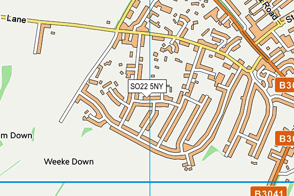SO22 5NY map - OS VectorMap District (Ordnance Survey)