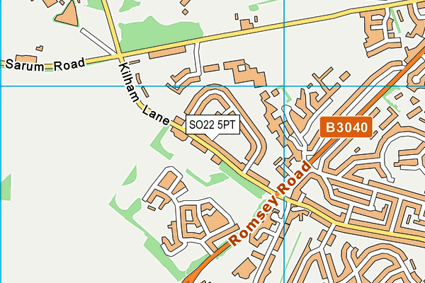 SO22 5PT map - OS VectorMap District (Ordnance Survey)