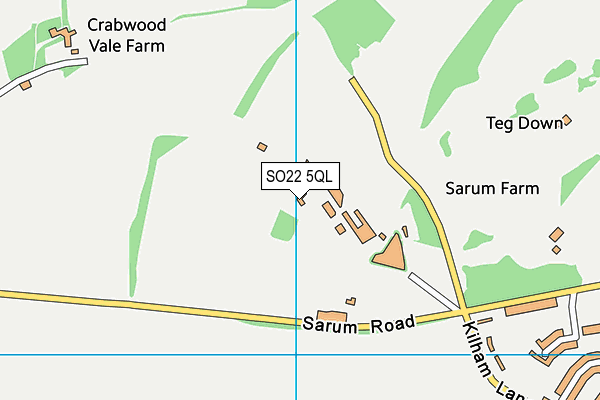 SO22 5QL map - OS VectorMap District (Ordnance Survey)