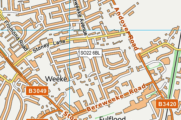 SO22 6BL map - OS VectorMap District (Ordnance Survey)