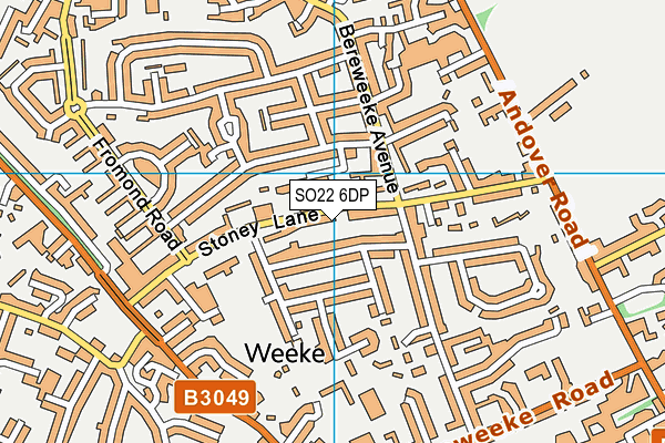 SO22 6DP map - OS VectorMap District (Ordnance Survey)