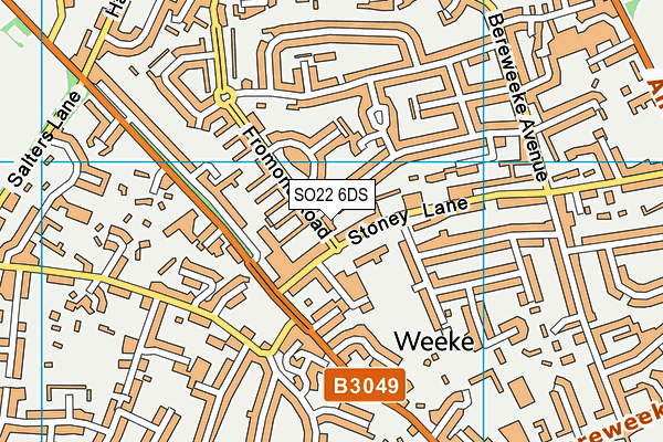 SO22 6DS map - OS VectorMap District (Ordnance Survey)