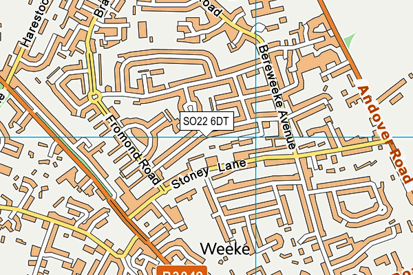 SO22 6DT map - OS VectorMap District (Ordnance Survey)