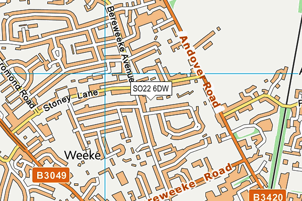 SO22 6DW map - OS VectorMap District (Ordnance Survey)