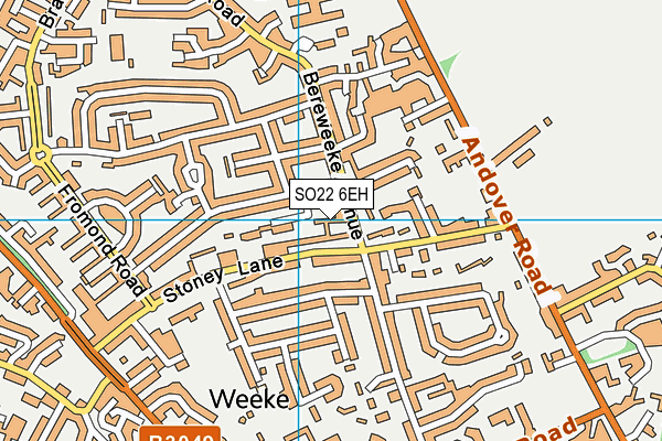 SO22 6EH map - OS VectorMap District (Ordnance Survey)