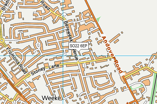 SO22 6EP map - OS VectorMap District (Ordnance Survey)