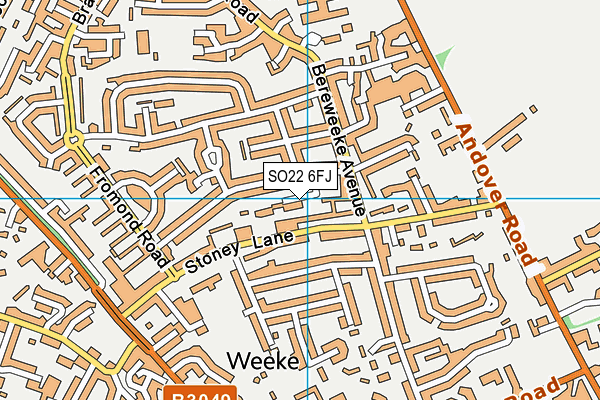 SO22 6FJ map - OS VectorMap District (Ordnance Survey)