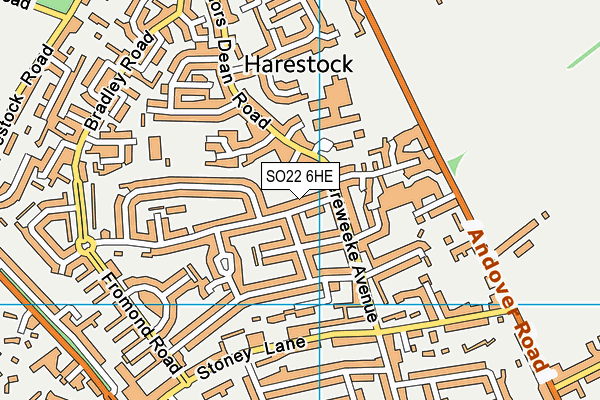SO22 6HE map - OS VectorMap District (Ordnance Survey)