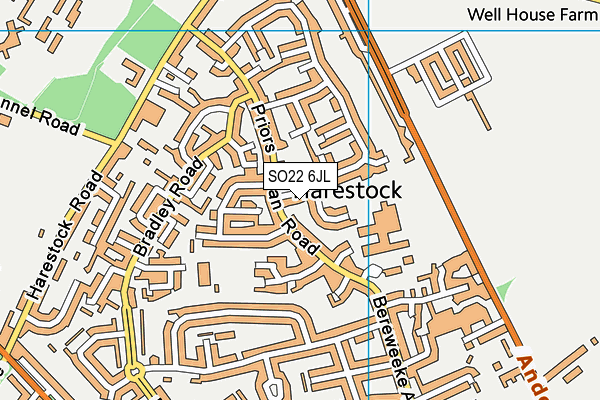 SO22 6JL map - OS VectorMap District (Ordnance Survey)