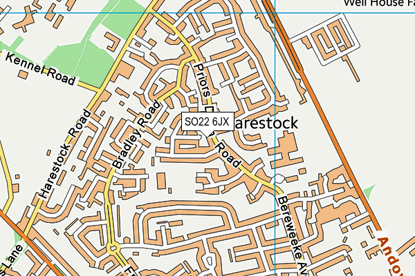 SO22 6JX map - OS VectorMap District (Ordnance Survey)