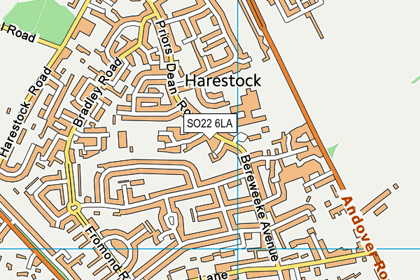 SO22 6LA map - OS VectorMap District (Ordnance Survey)