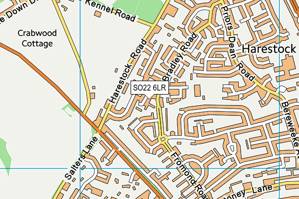 SO22 6LR map - OS VectorMap District (Ordnance Survey)