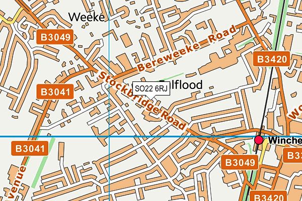 SO22 6RJ map - OS VectorMap District (Ordnance Survey)