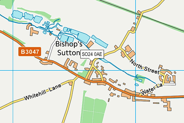 SO24 0AE map - OS VectorMap District (Ordnance Survey)