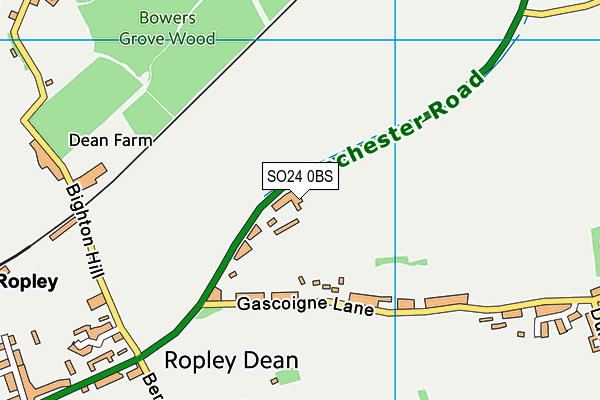 SO24 0BS map - OS VectorMap District (Ordnance Survey)