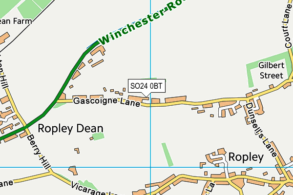 SO24 0BT map - OS VectorMap District (Ordnance Survey)