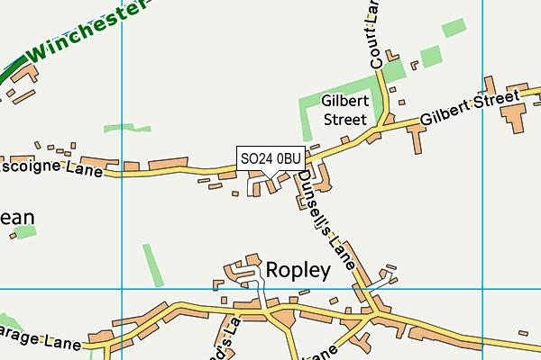 SO24 0BU map - OS VectorMap District (Ordnance Survey)