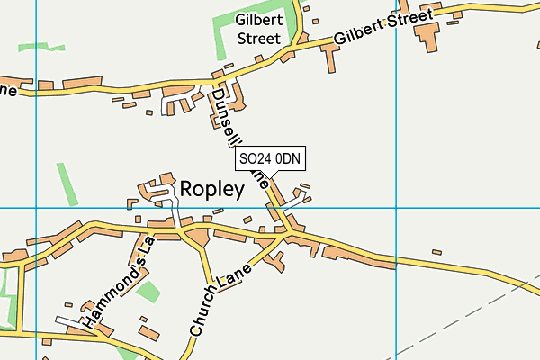 SO24 0DN map - OS VectorMap District (Ordnance Survey)