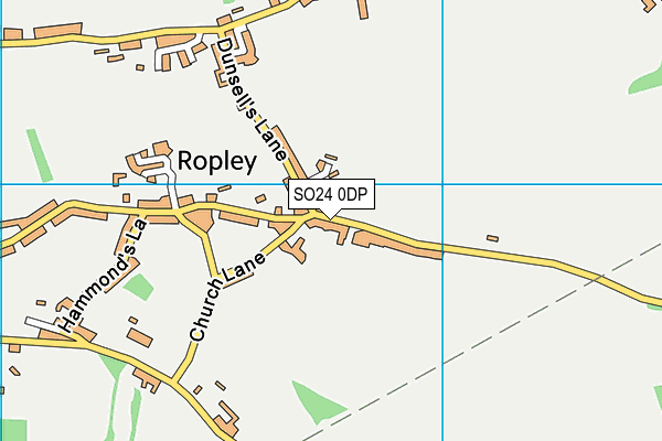 SO24 0DP map - OS VectorMap District (Ordnance Survey)