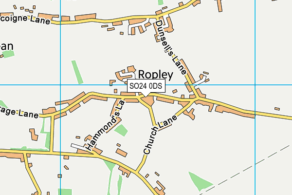 Ropley C Of E Primary School map (SO24 0DS) - OS VectorMap District (Ordnance Survey)