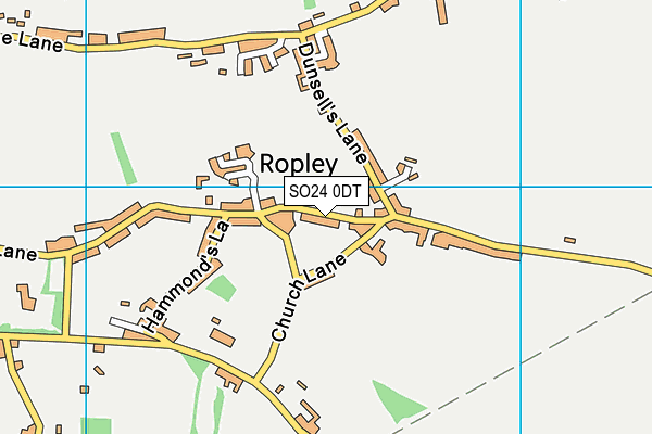 SO24 0DT map - OS VectorMap District (Ordnance Survey)