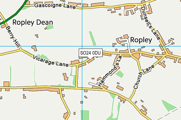 Ropley Recreation Ground map (SO24 0DU) - OS VectorMap District (Ordnance Survey)