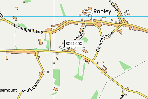 SO24 0DX map - OS VectorMap District (Ordnance Survey)