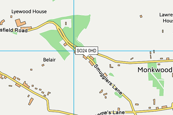 SO24 0HD map - OS VectorMap District (Ordnance Survey)