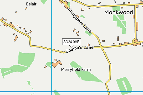 SO24 0HE map - OS VectorMap District (Ordnance Survey)